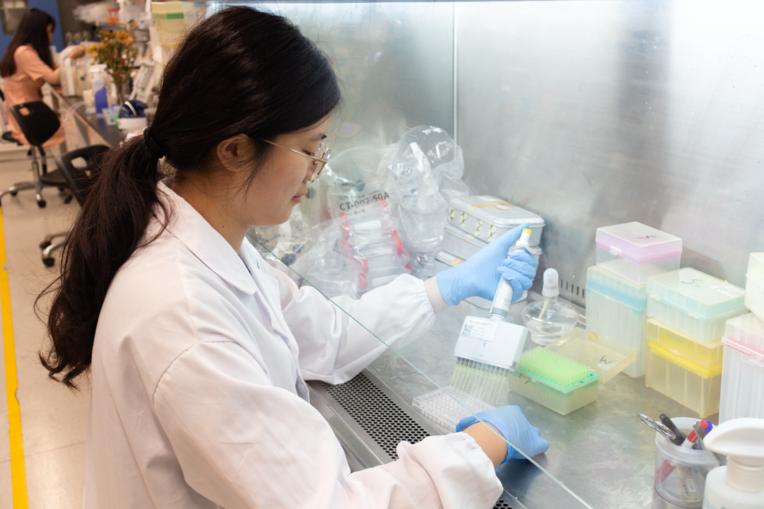 屏幕截圖 2024-10-21 141952.png 屏幕截圖 2024-10-21 141952.png