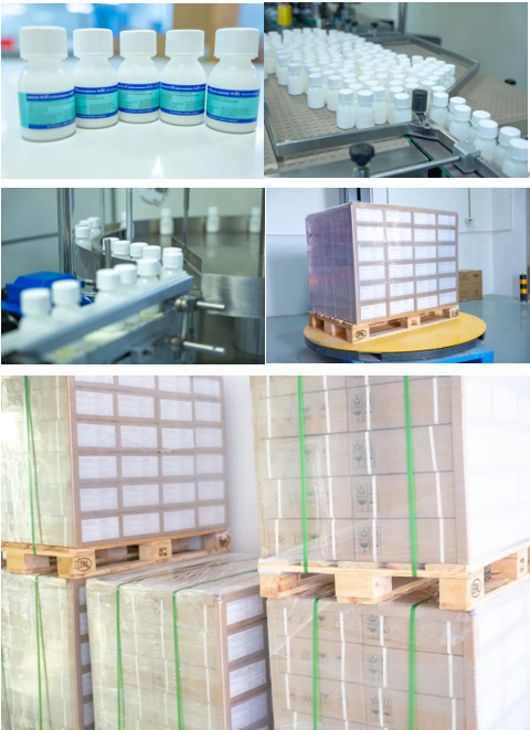 屏幕截圖 2025-08-26 161725.png